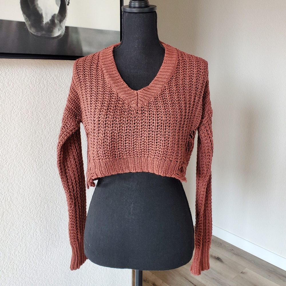 Distressed Crop Top Sweater
